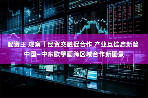 配资王 观察丨经贸交融促合作 产业互链启新篇 中国—中东欧擘画跨区域合作新图景